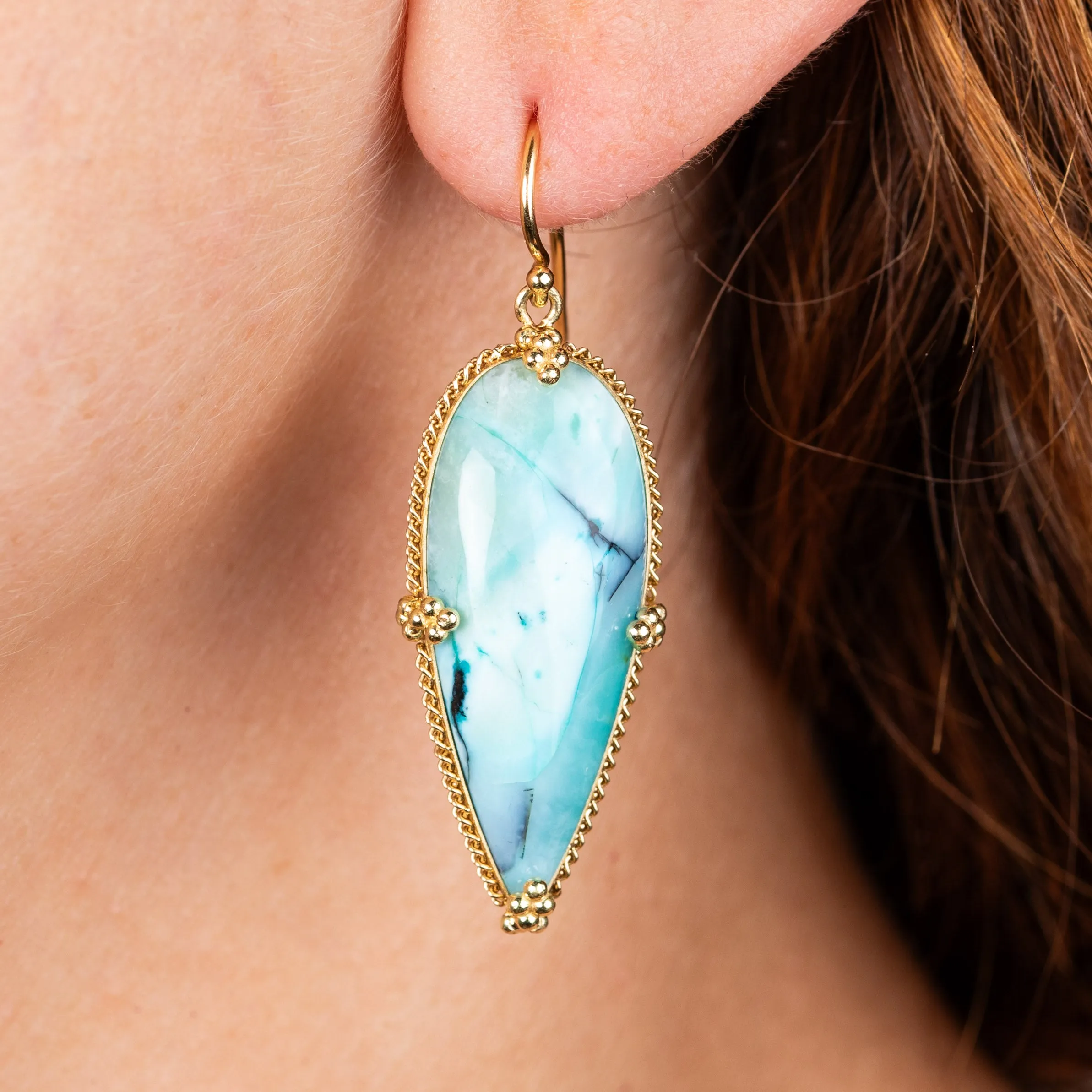 Blue Opal Petrified Wood Earrings