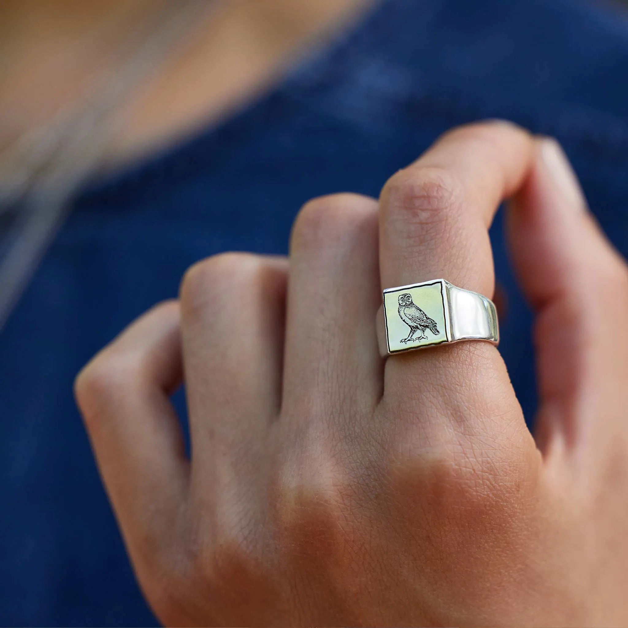 Bull Square Signet Ring