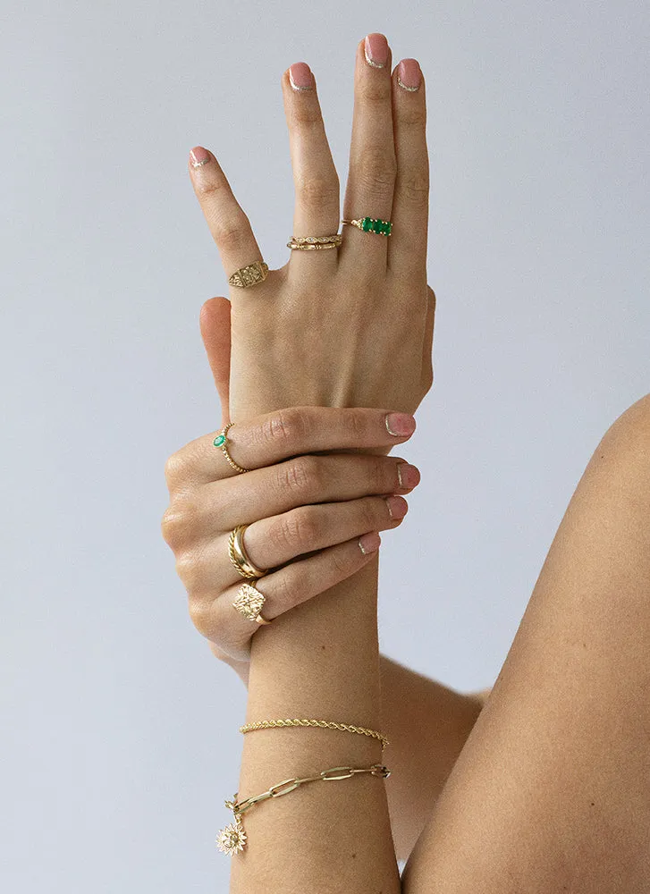 Charlie signet ring 14k gold