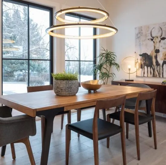 Lanuda Round Ring Grid Frame Pendant Light