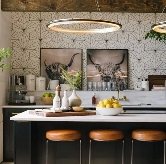 Lanuda Round Ring Grid Frame Pendant Light