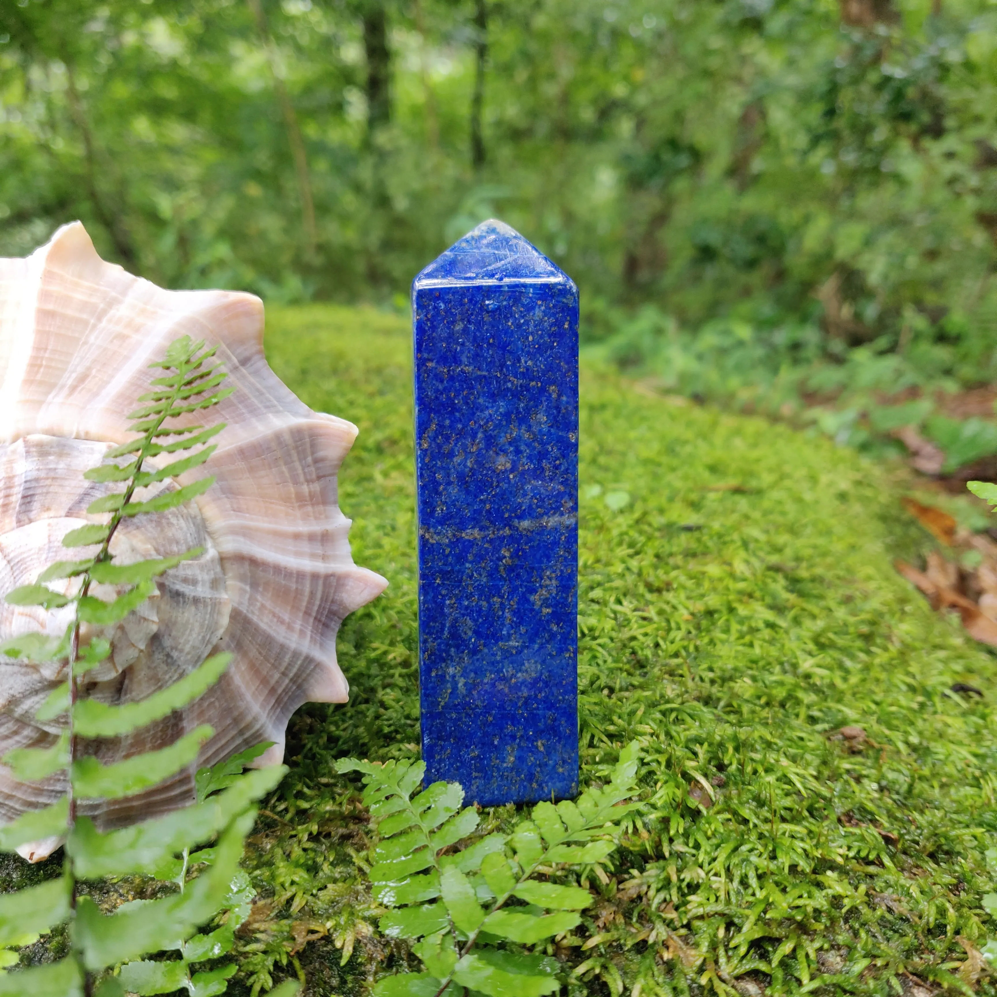 Lapis Lazuli Point (#17)