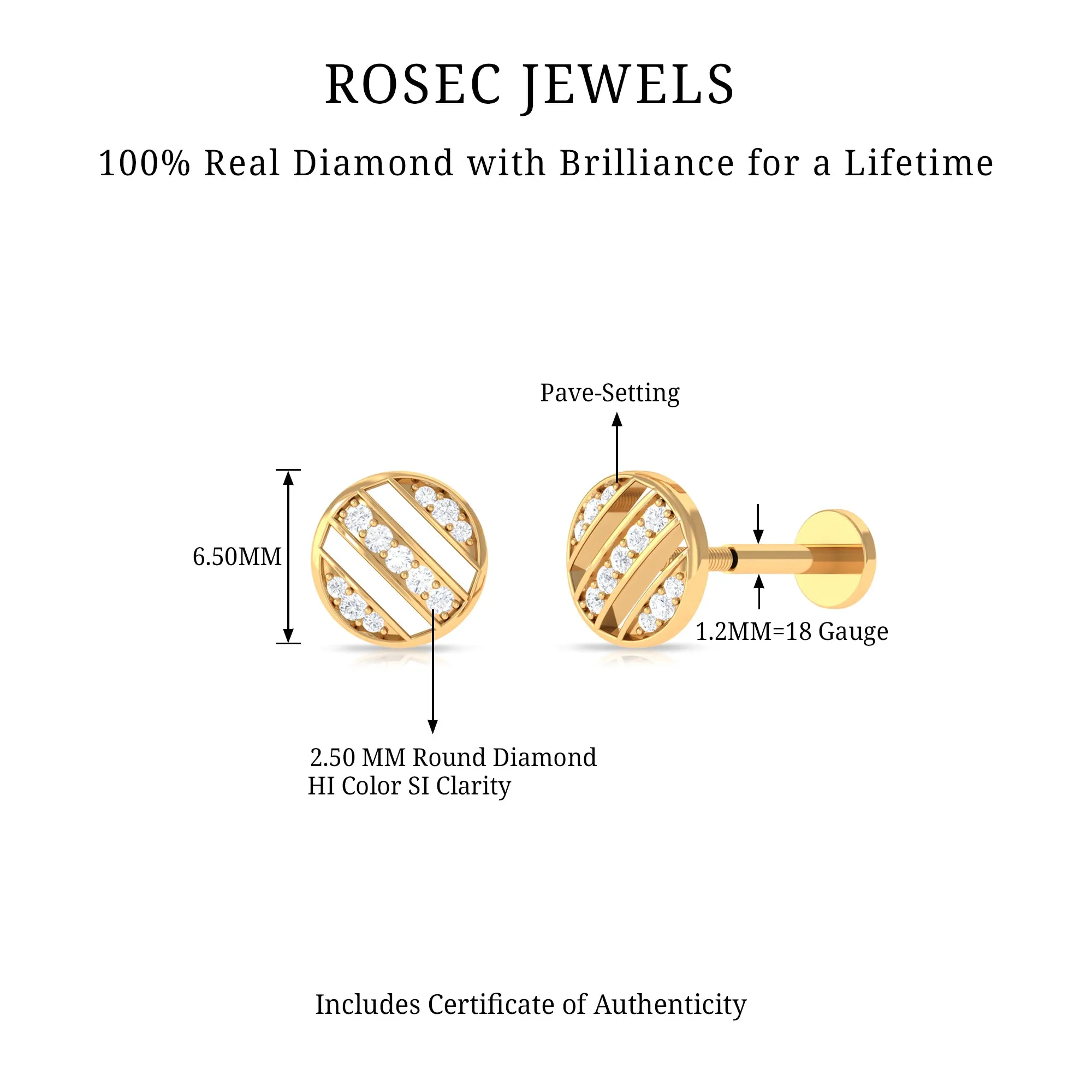 Unique Diamond Circle Geometric Earring in Gold